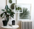 Decoração com plantas
